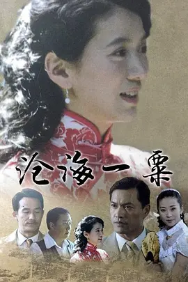沧海一粟(2017)