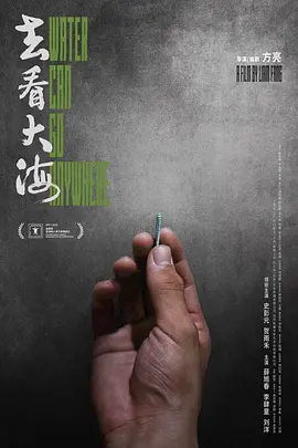 去看大海 (2025)